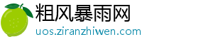 粗风暴雨网